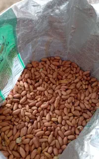 بادام