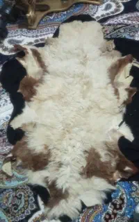 پوست گوسفند