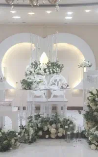 جذب نیرو در تالار پذیرایی