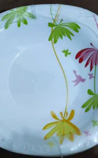 سرویس پذیرایی
