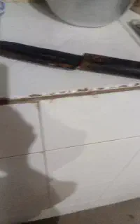 قصاب هستم