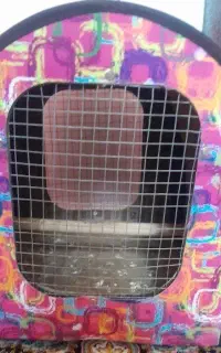باکس