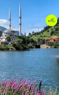 تور گروهی ترابزون +باتومی از آذربایجان شرقی