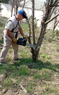 خدمات باغی هرس واصلاح اصولی گل ودرخت واحداث باغ