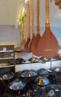 فروش انواع ویولن