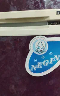یخچال و فریزر نگین