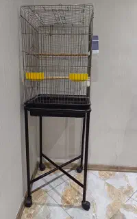 قفس انواع پرنده