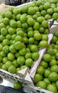 سلام به یک آقانیازمندم.