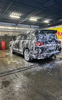 استخدام نیروی کارواش