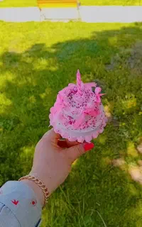 کیک عکاسی گوگولی 350 تومان