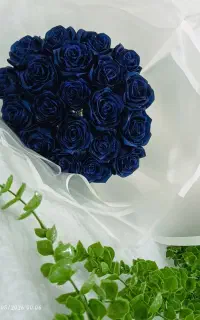 گل ربانی