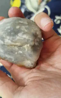 گوهر