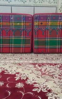 دو جفت پشتی سالم