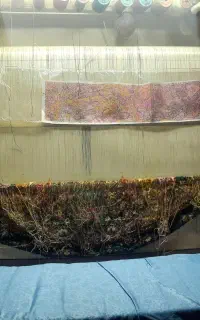فرش نیمه کاره دایره