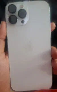 13پرومکس