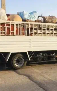 باربری اسباب کشی جحشه نیسان وانت کارگر شهرشهرستان