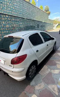 ۲۰۶ اتوماتیک، ماشین خانم دکتر ، اماده بازدید