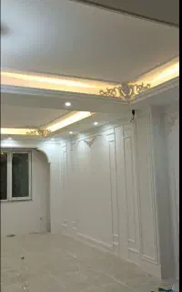 رابیس کاری
