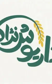 ادمین پلتفرم