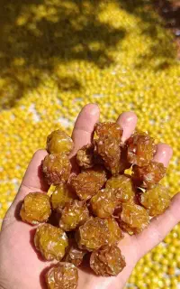 آلو خورشتی