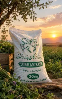 بذر یونجه ی وارداتی و داخلی