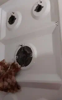 گاز ۵شعله نو نو