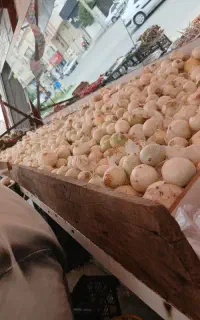 نیروی کار در میوه فروشی