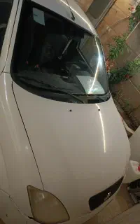 تربت حیدریه