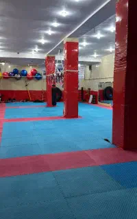ورزشهای رزمی