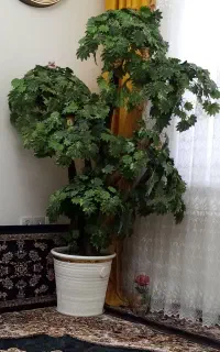 درخچه مصنوعی