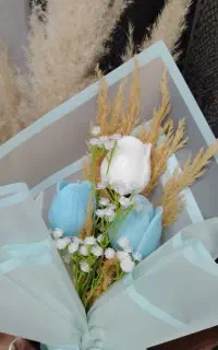 گیفت شمع