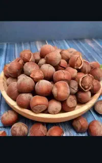 فندق کارینا پاییز نهال ۲۷مناسب باغ توسعه ای