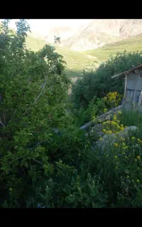 فروش زمین
