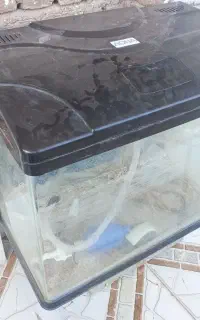 آکواریوم