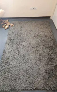 فرش تدی و پادری
