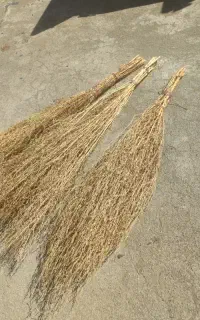 جارو دستی