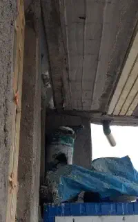 حراج  و معاوضه تعدادی کبوتر