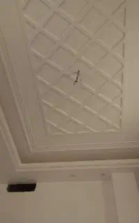 شاگرد گچ کار وارد