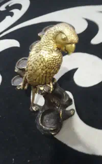 جا شمعی کاسکو