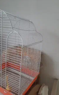 قفس پرنده