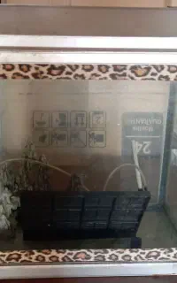 آکواریوم
