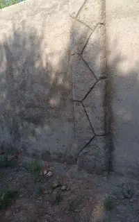 سیمانکاری