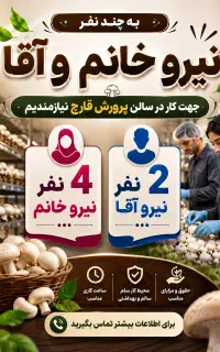 جذب نیرو در سالن پرورش قارچ