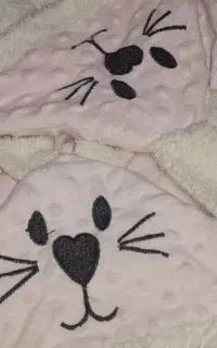 پتو