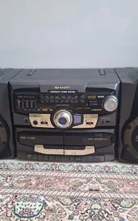 ضبط خانگی