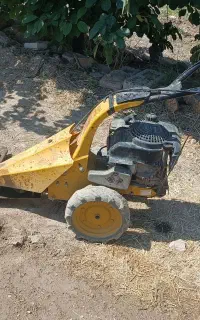 علف چین