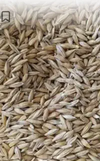 جو لری