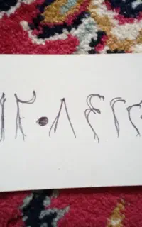 فروش سیمکارت همراه اول ۰۹۱۲۰۸۴۲۲۰۷