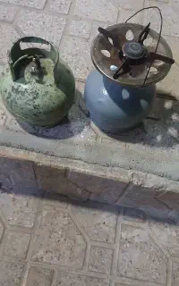 دو عدد پیک نیک سالم و پر