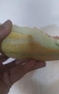 سرمایگزار